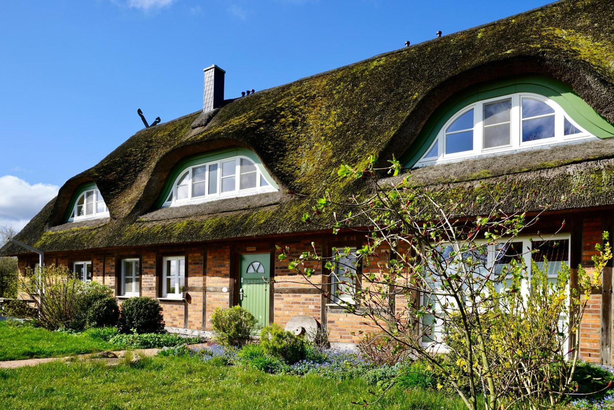 Reethaus Mertinat For Ten Insel Poel Exterior foto